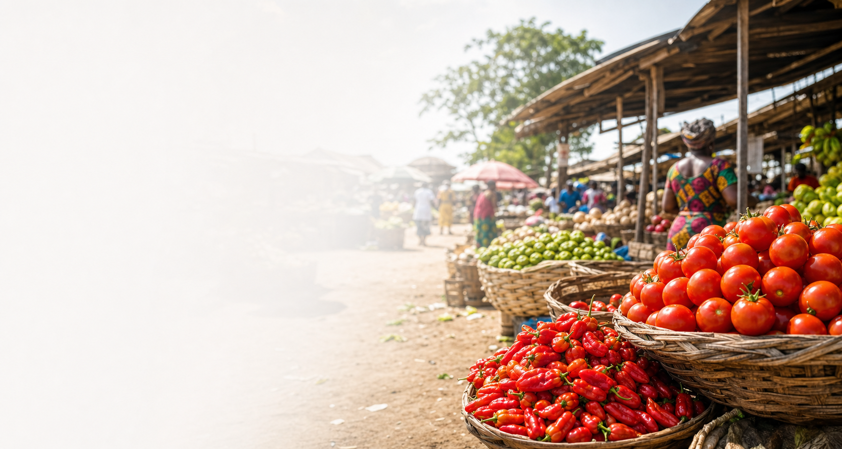 Nigerian market with fresh tomatoes and peppers